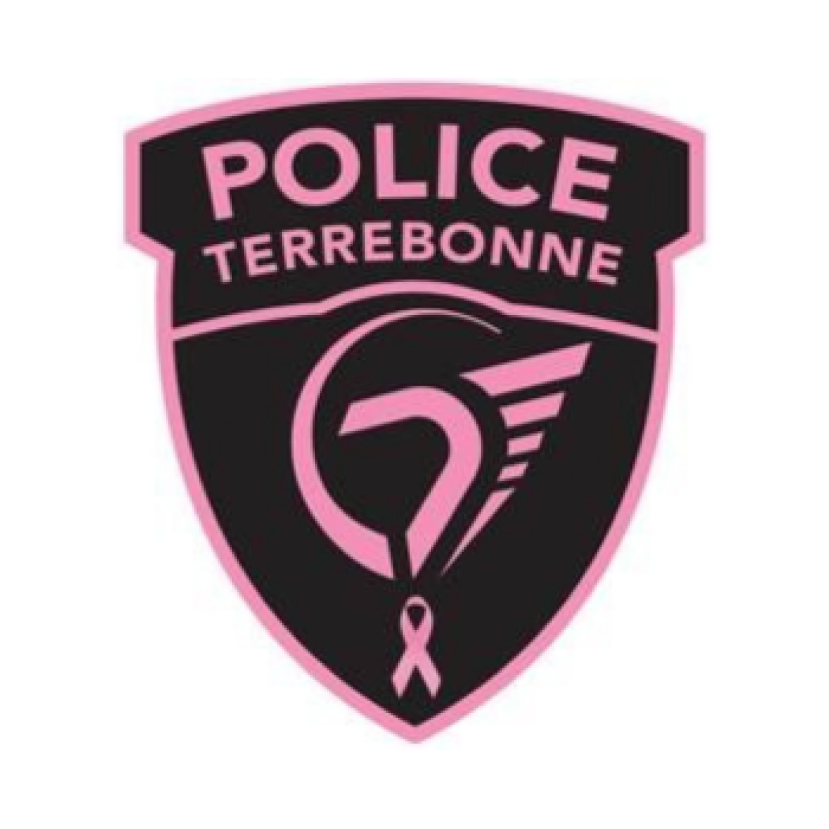 Communiqué - Le Service de police de Terrebonne/Sainte-Anne-desPlaines ...