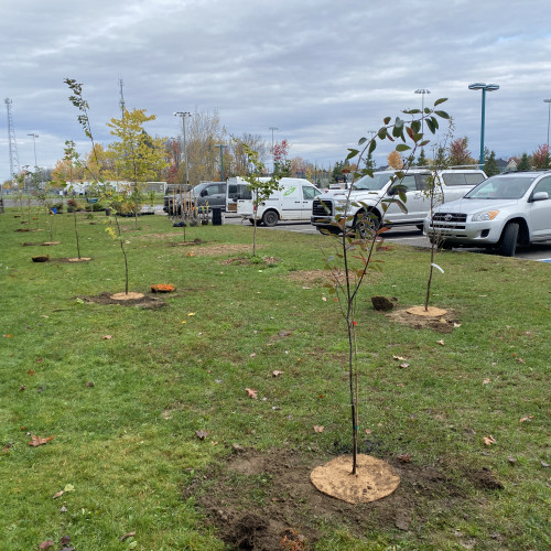 Mairesse Julie Boivin